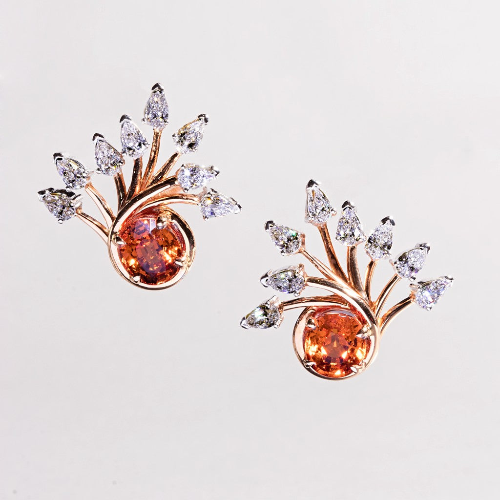 Earrings 2